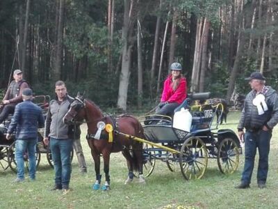 Erfolgreicher Einstieg in das Turnierfahren für Anne Radloff in Usedom und im Ruhner Cup am 02.10.21