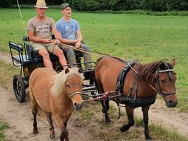 Familie Dörfling mit Jupp und Polly
