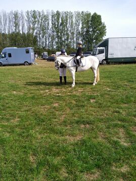 Frieda auf Tracy mit Anne